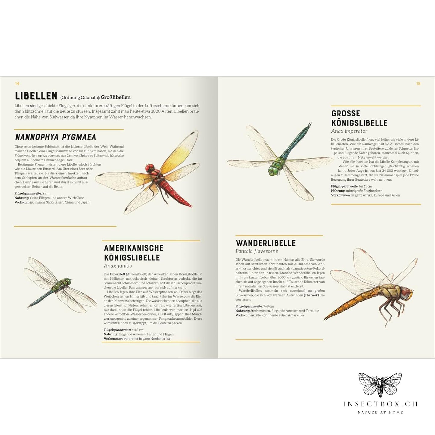 The big lexicon of insects (available again)