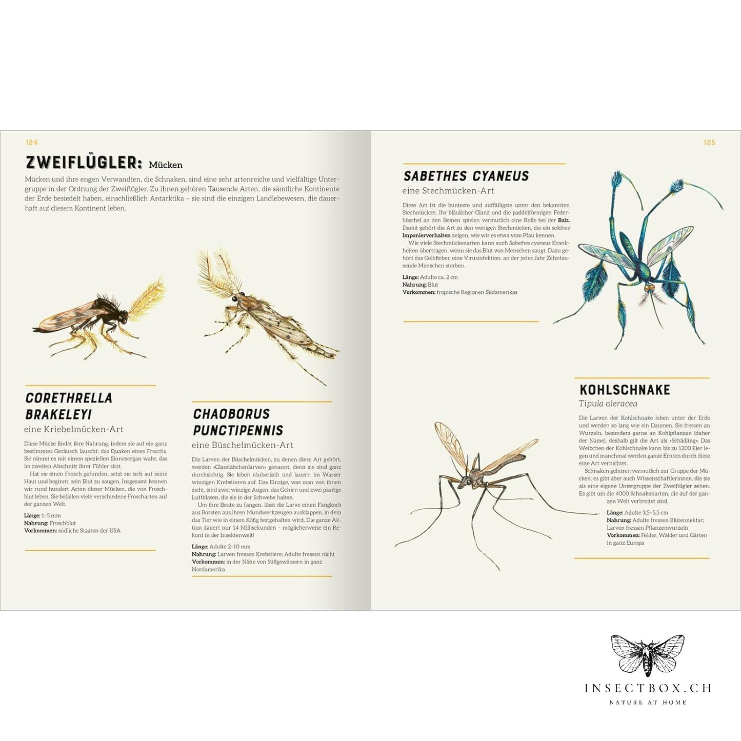 The big lexicon of insects (available again)