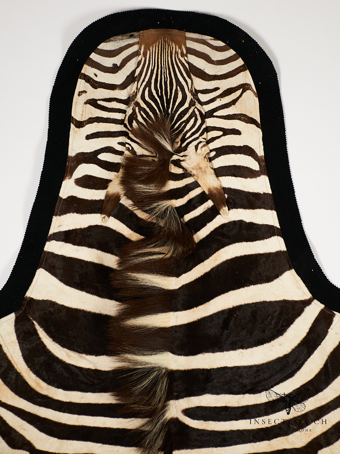 Zebrafell aus Namibia – exklusives Unikat
